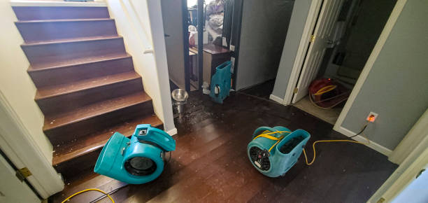 Best Basement water damage restoration  in Kidron, OH