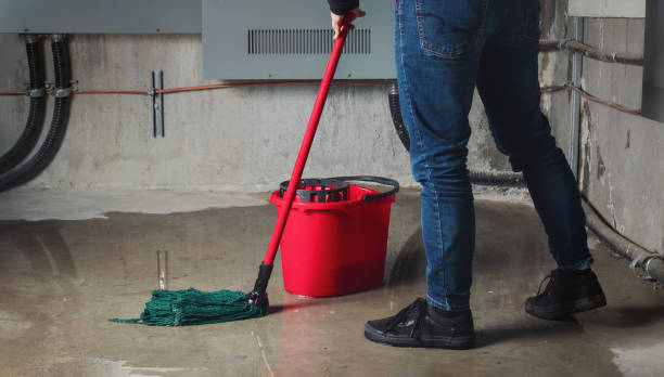 Best Commercial water damage restoration  in Kidron, OH