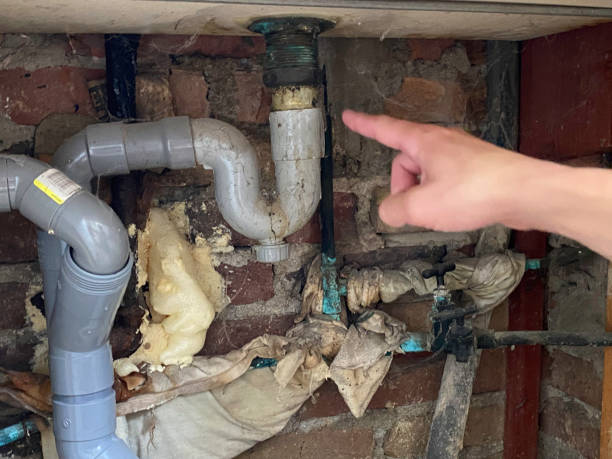 Best Flooded house restoration  in Kidron, OH